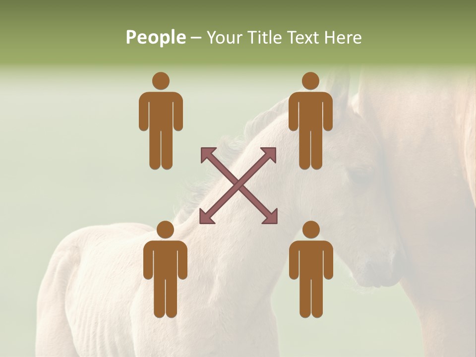 Mare Race Nature PowerPoint Template