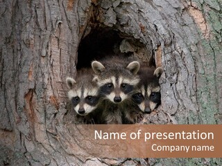 Predator Masked Hole PowerPoint Template