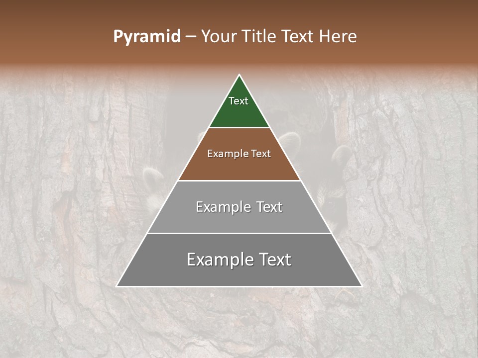 Predator Masked Hole PowerPoint Template