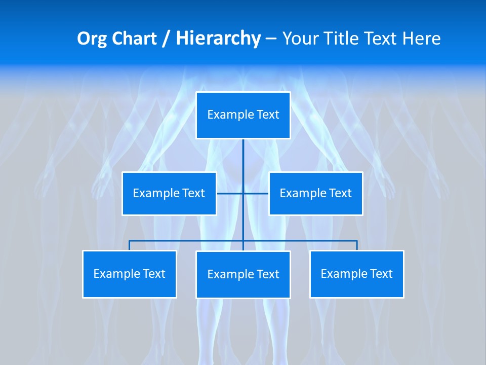Anatomy Psychology Emergence PowerPoint Template