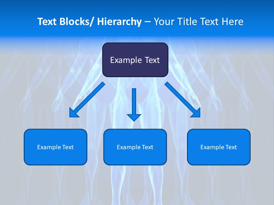 Anatomy Psychology Emergence PowerPoint Template