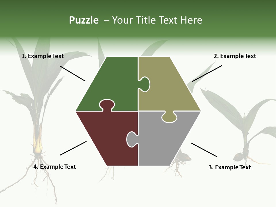 Plant Farm Conservation PowerPoint Template