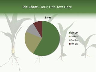 Plant Farm Conservation PowerPoint Template