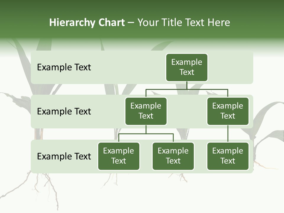 Plant Farm Conservation PowerPoint Template