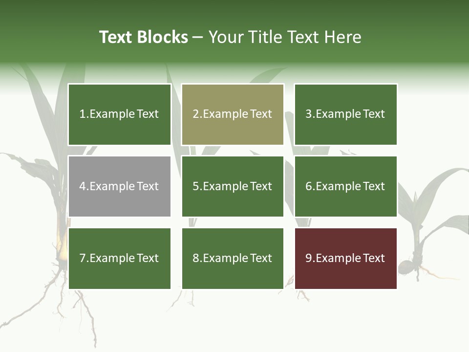 Plant Farm Conservation PowerPoint Template