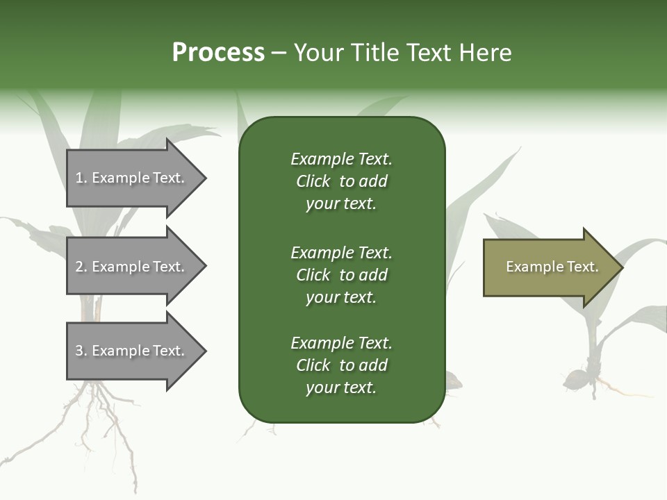Plant Farm Conservation PowerPoint Template