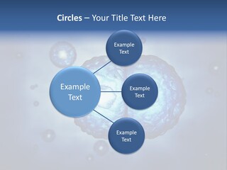 Cell Stem Genes PowerPoint Template