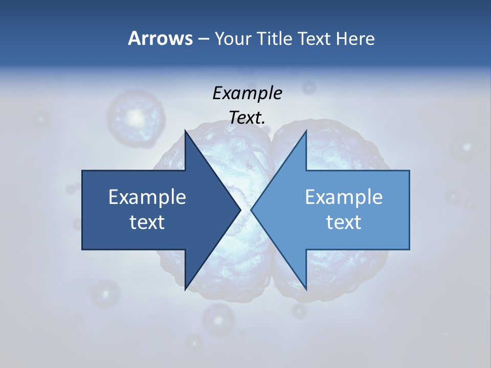 Cell Stem Genes PowerPoint Template