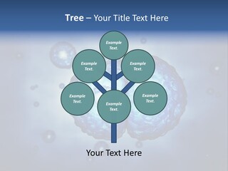 Cell Stem Genes PowerPoint Template