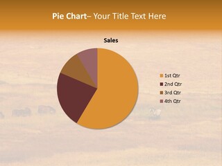 Mammal Prairie Grass PowerPoint Template