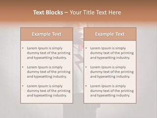 Portrait Concept Mantle PowerPoint Template