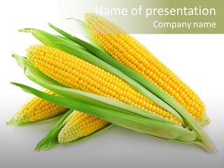 Grain Golden Ripe PowerPoint Template
