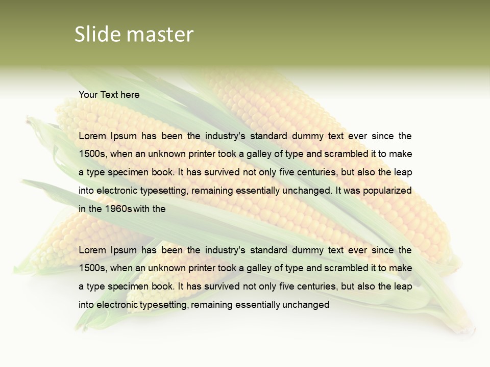 Grain Golden Ripe PowerPoint Template