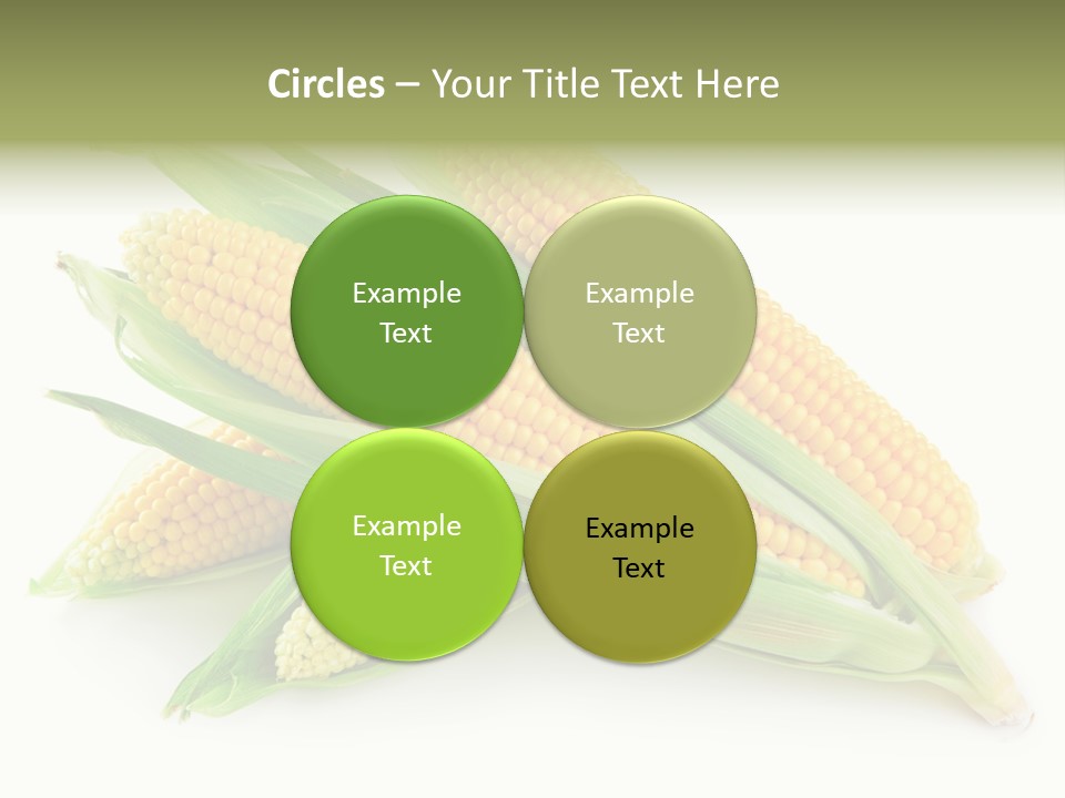 Grain Golden Ripe PowerPoint Template