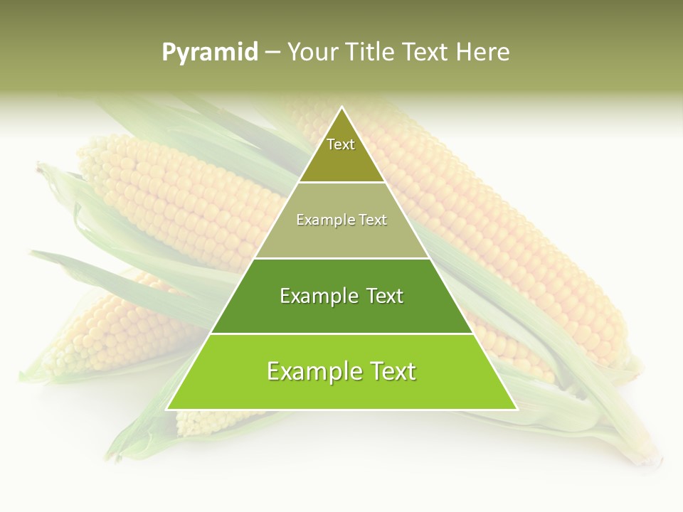 Grain Golden Ripe PowerPoint Template