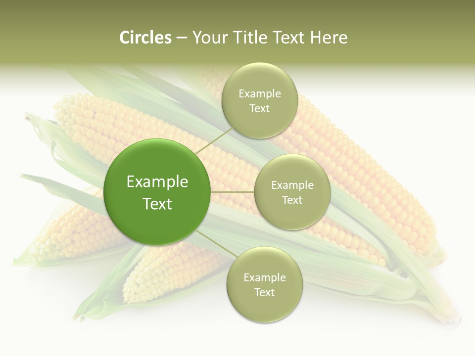 Grain Golden Ripe PowerPoint Template