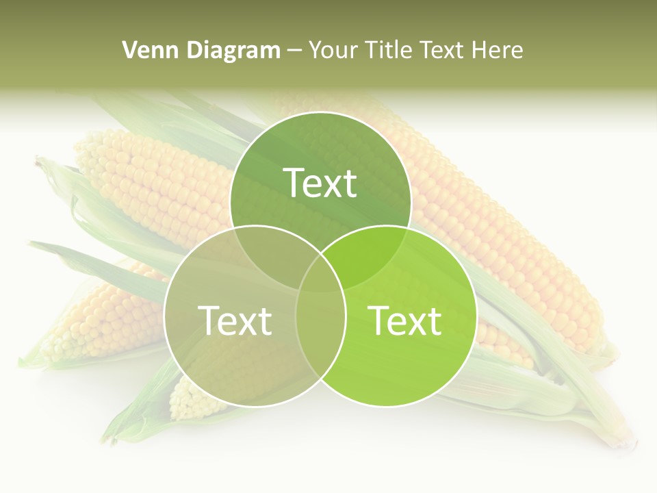Grain Golden Ripe PowerPoint Template