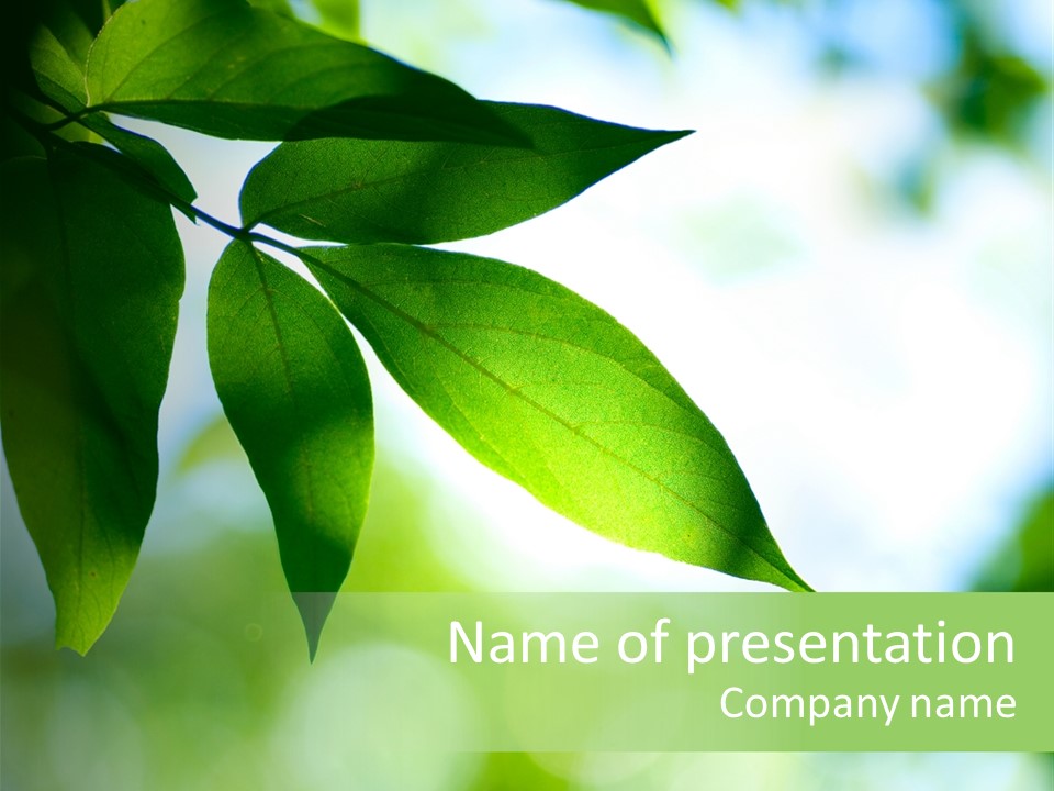 Blue Garden Freshness PowerPoint Template