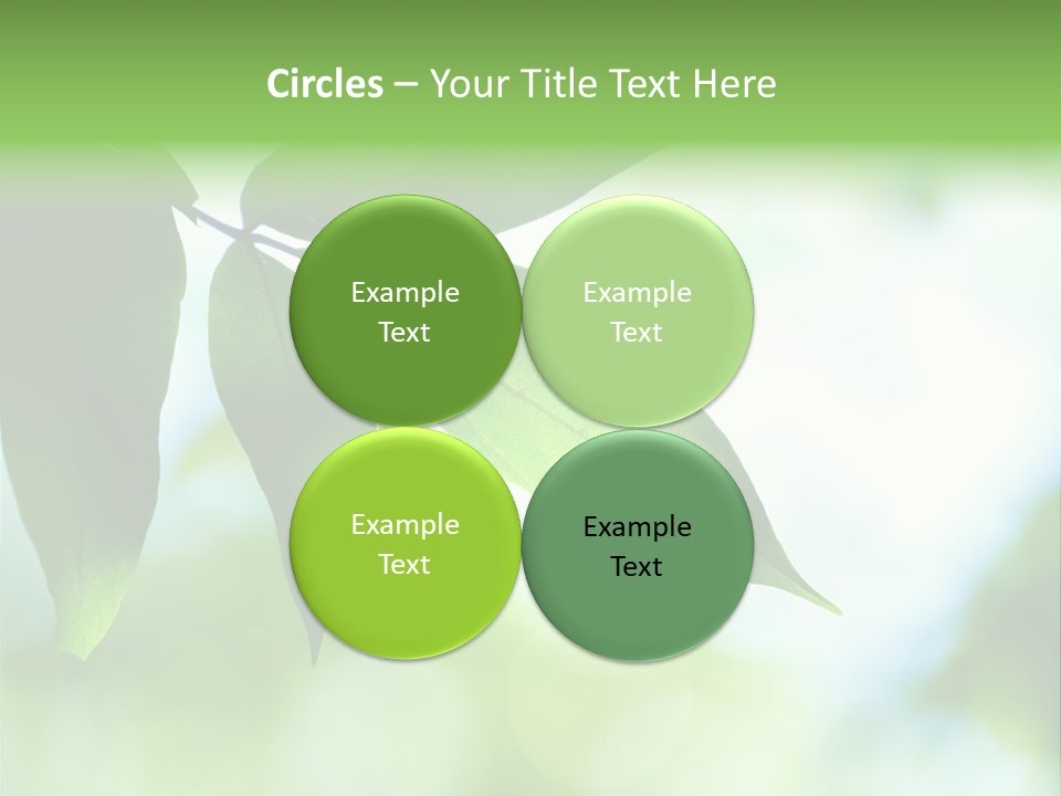 Blue Garden Freshness PowerPoint Template