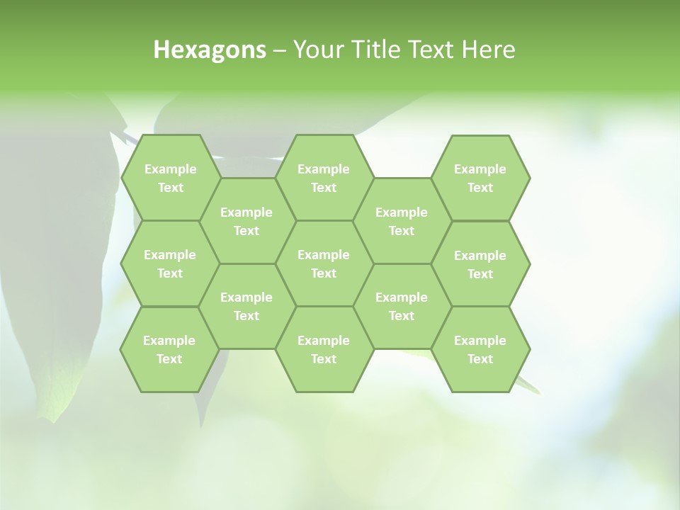 Blue Garden Freshness PowerPoint Template