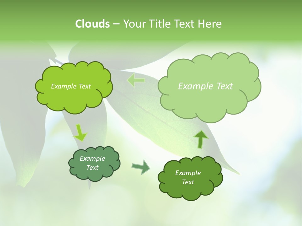 Blue Garden Freshness PowerPoint Template