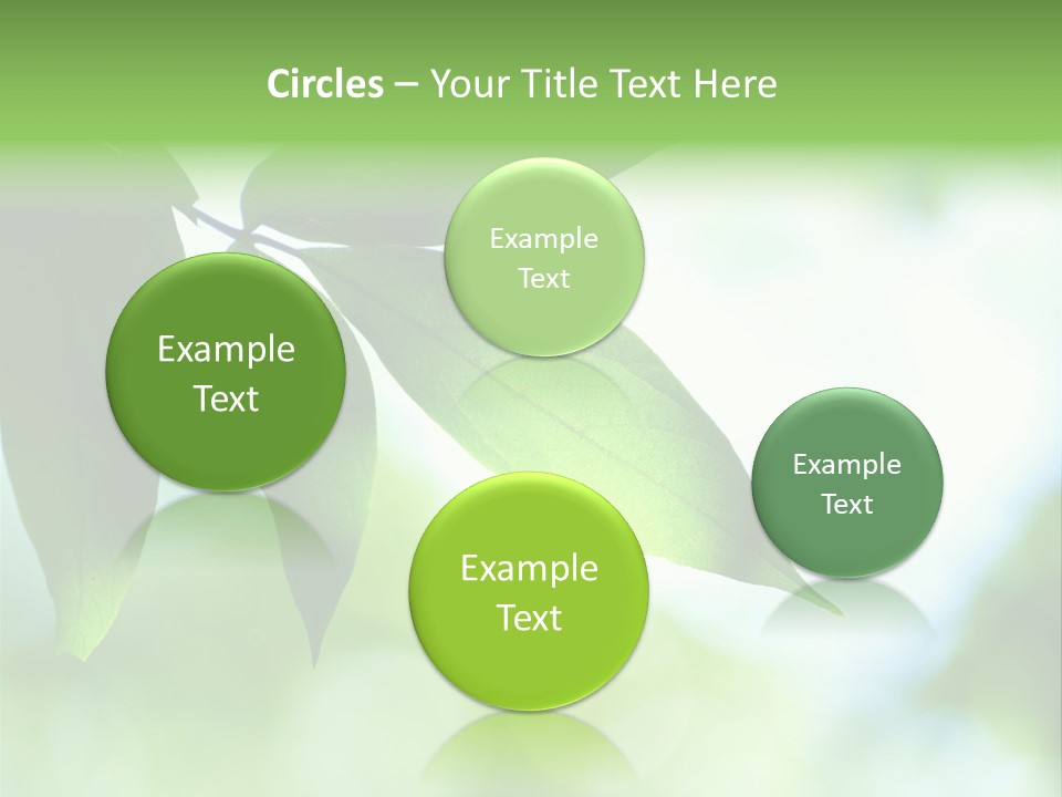 Blue Garden Freshness PowerPoint Template