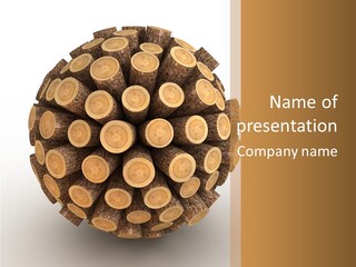 Wood Nature Isolated PowerPoint Template