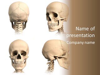 Human Object Black PowerPoint Template