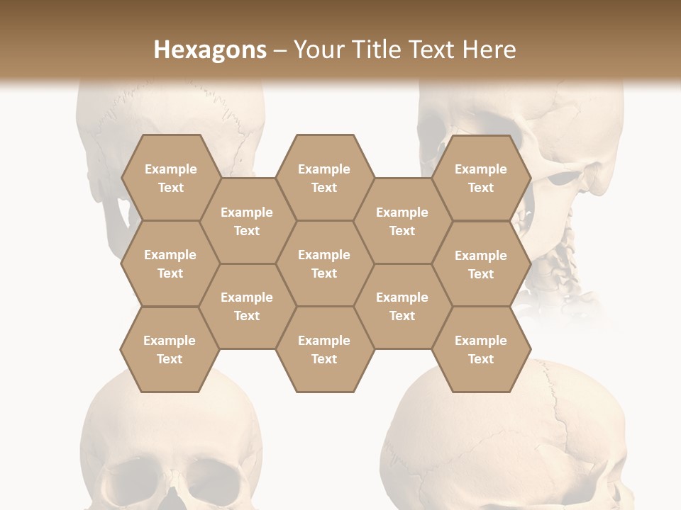 Human Object Black PowerPoint Template