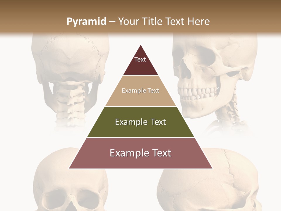 Human Object Black PowerPoint Template