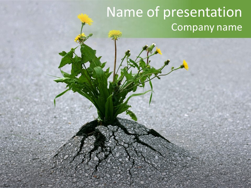 Plant Winning Strong PowerPoint Template