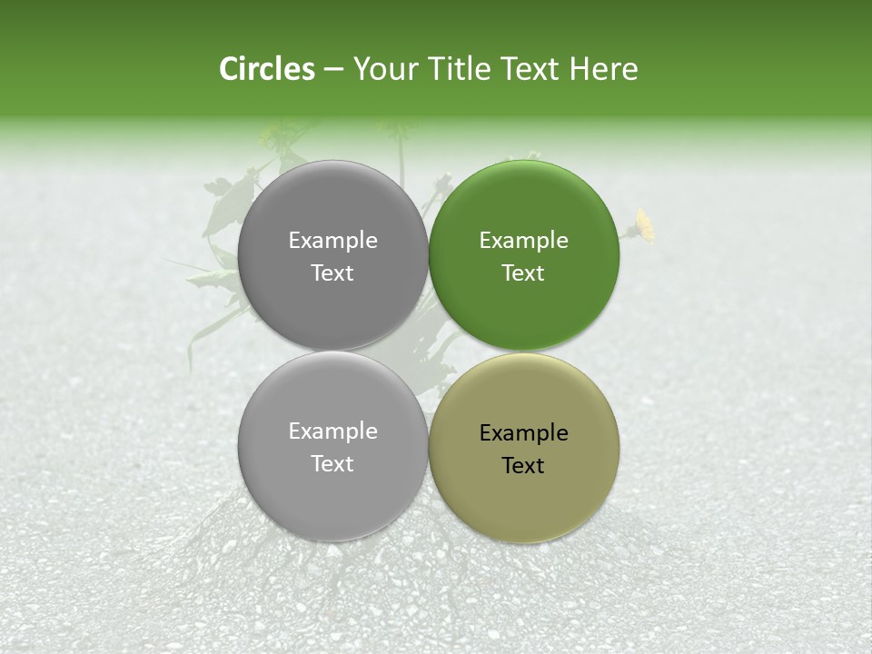 Plant Winning Strong PowerPoint Template