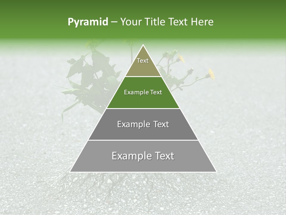 Plant Winning Strong PowerPoint Template