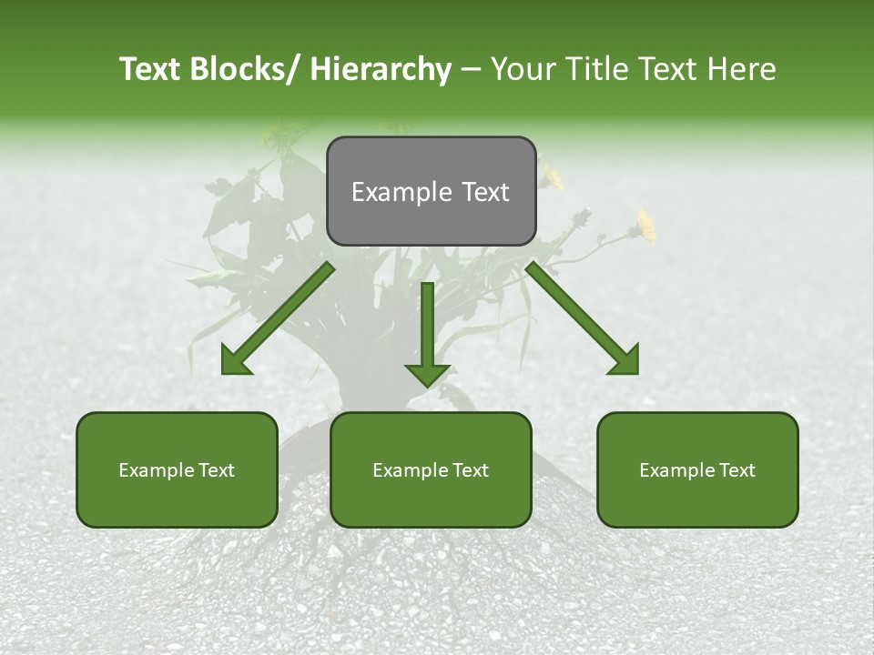 Plant Winning Strong PowerPoint Template