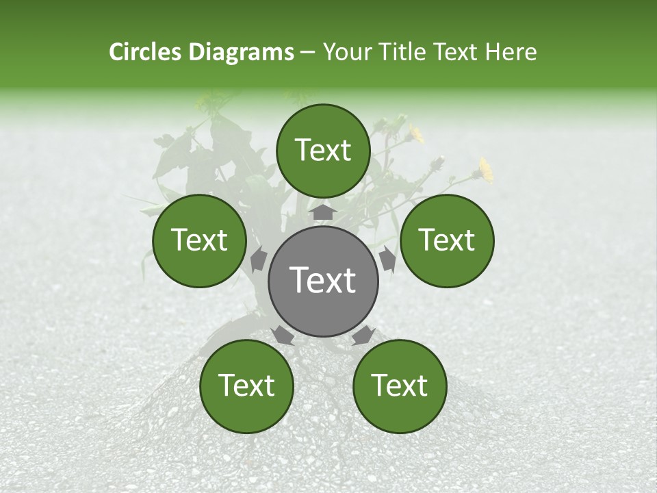 Plant Winning Strong PowerPoint Template