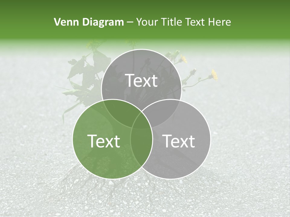 Plant Winning Strong PowerPoint Template