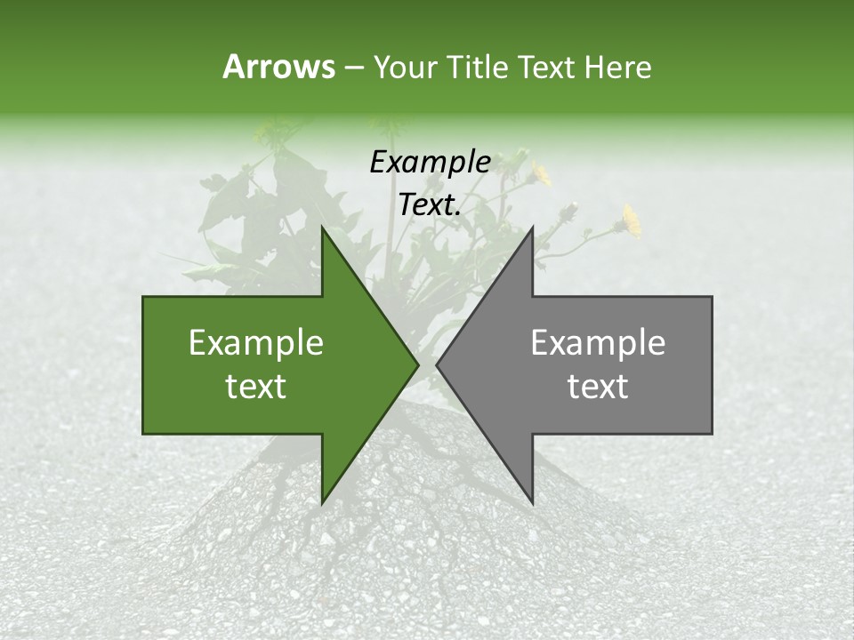 Plant Winning Strong PowerPoint Template