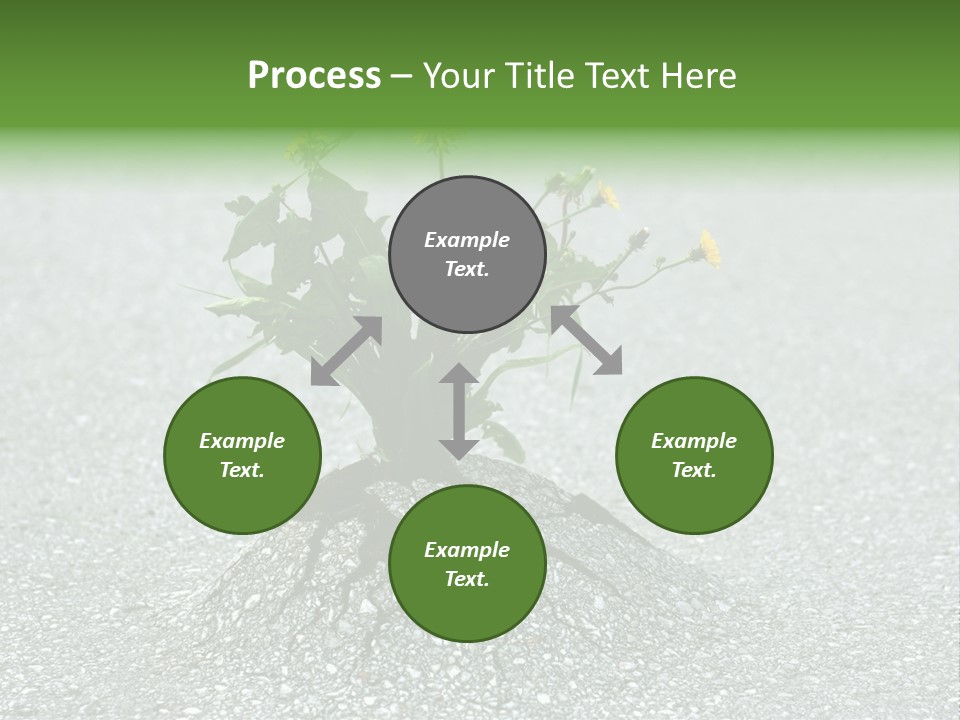 Plant Winning Strong PowerPoint Template