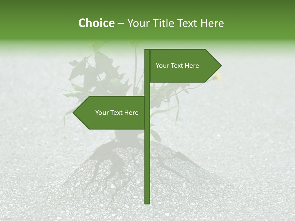 Plant Winning Strong PowerPoint Template