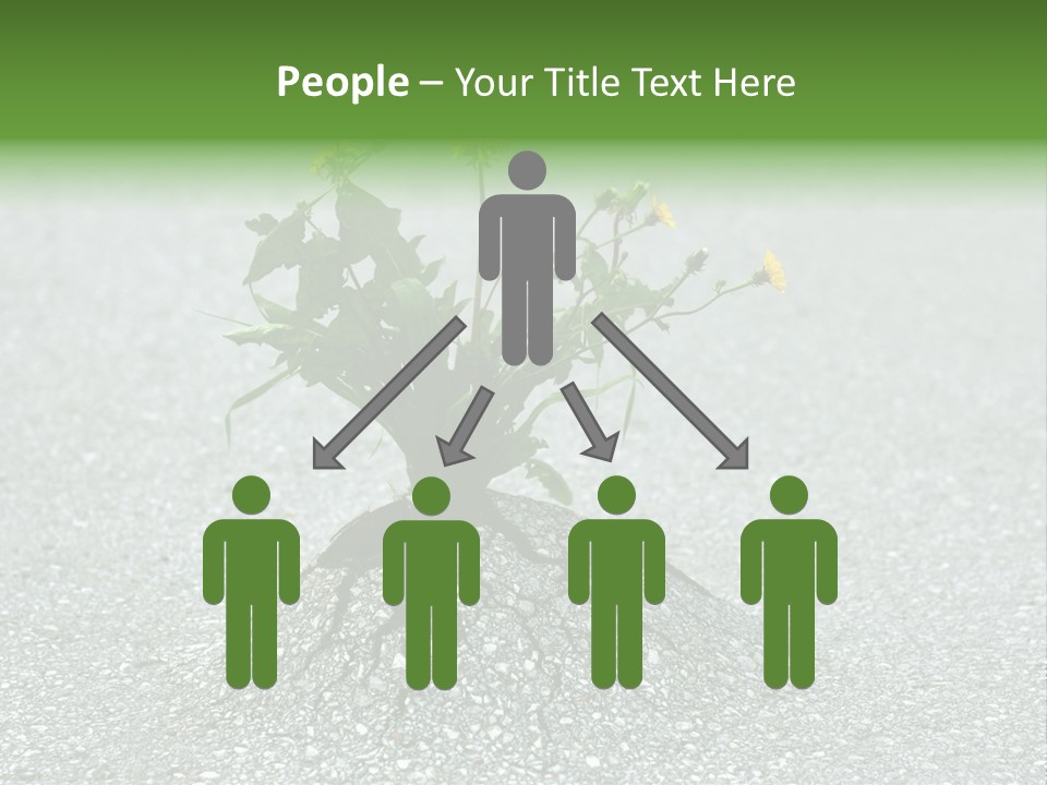 Plant Winning Strong PowerPoint Template