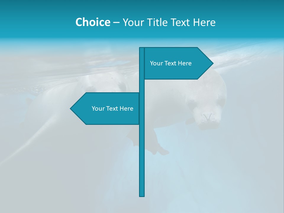 Underwater Fjord Berg PowerPoint Template