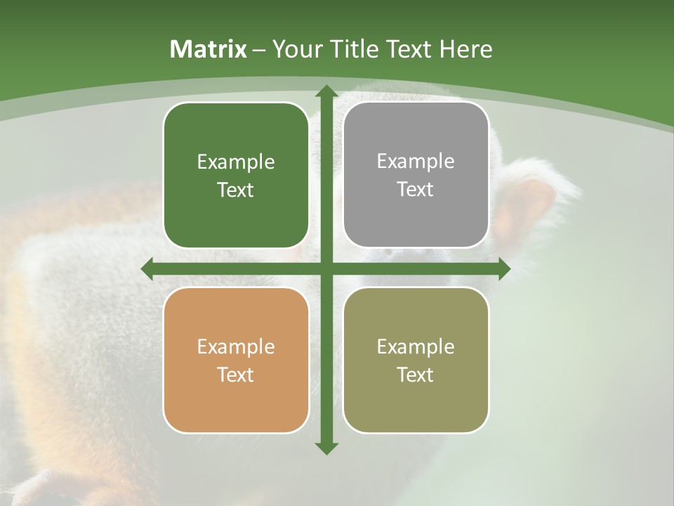 Ears Depth Of Field Tiny PowerPoint Template