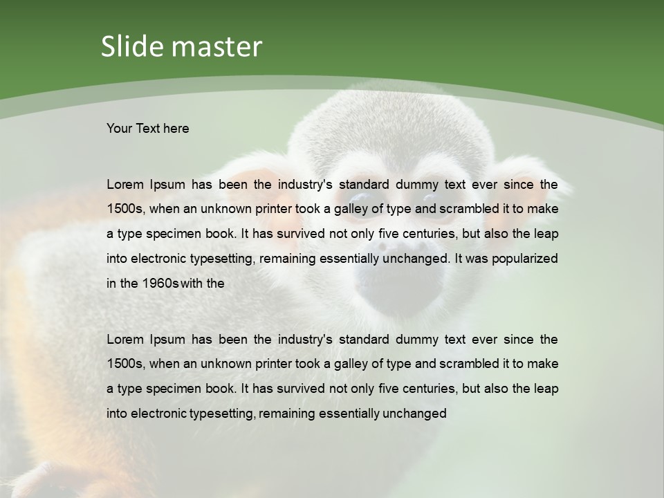 Ears Depth Of Field Tiny PowerPoint Template