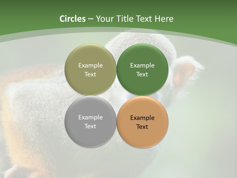 Ears Depth Of Field Tiny PowerPoint Template