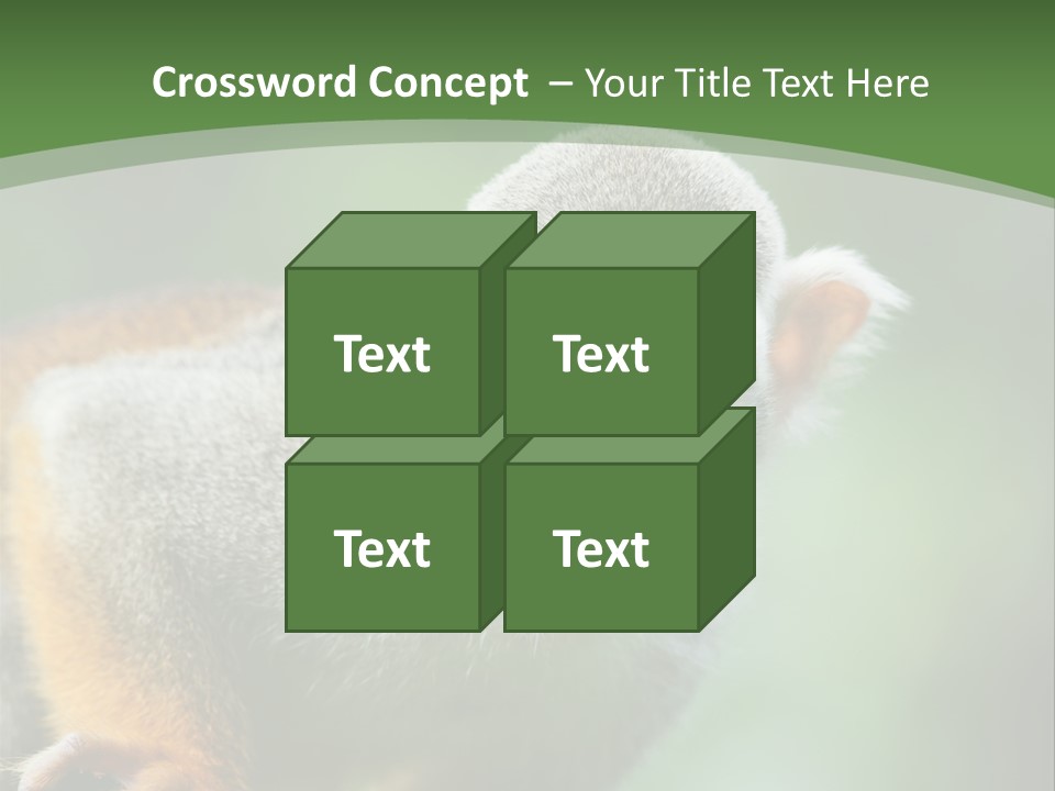 Ears Depth Of Field Tiny PowerPoint Template