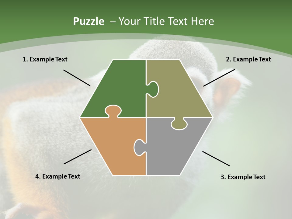 Ears Depth Of Field Tiny PowerPoint Template