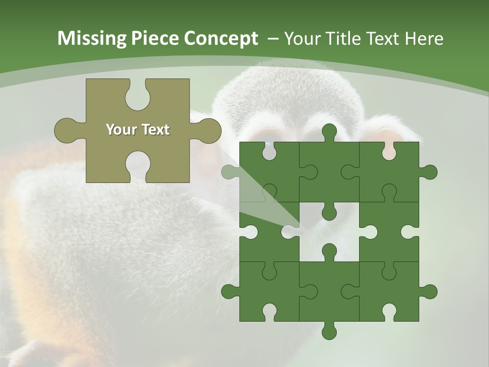 Ears Depth Of Field Tiny PowerPoint Template