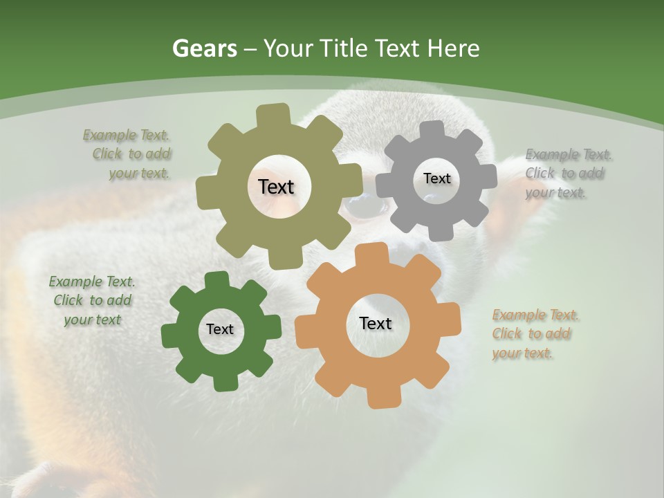 Ears Depth Of Field Tiny PowerPoint Template