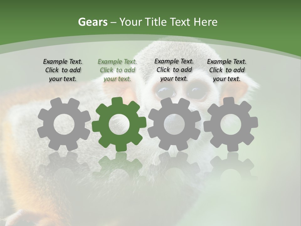 Ears Depth Of Field Tiny PowerPoint Template