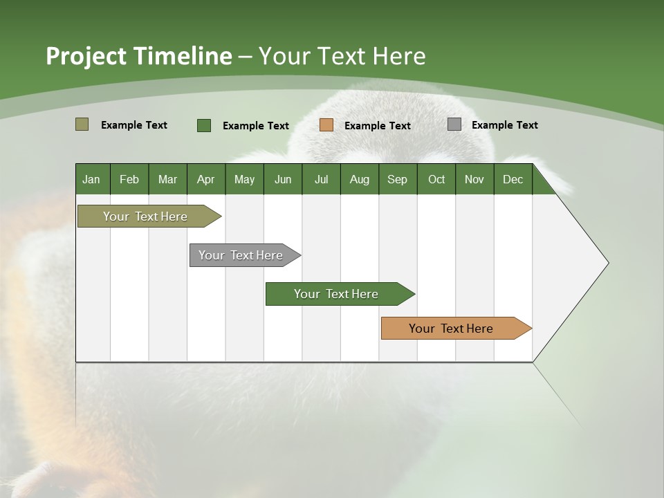 Ears Depth Of Field Tiny PowerPoint Template